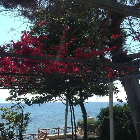 Nelly By The Sea Εξοχικό σπίτι Νέα Κορώνη