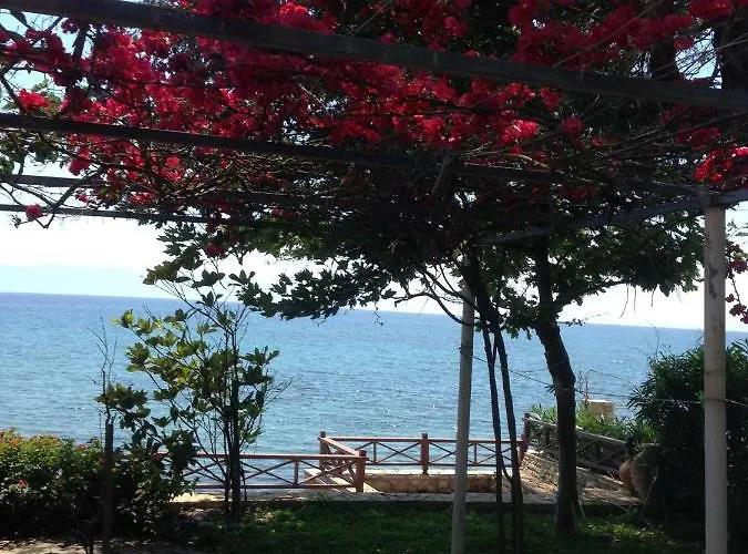 Nelly By The Sea