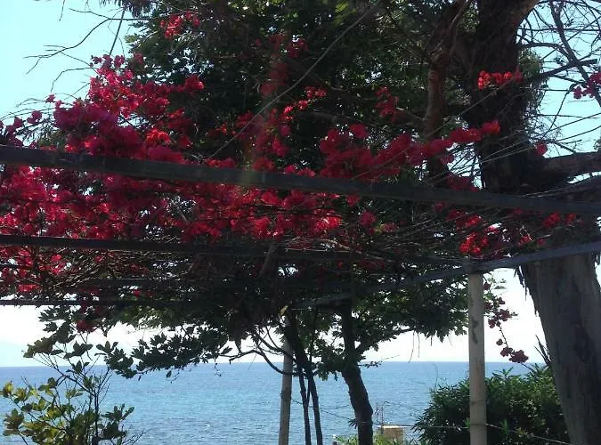 Nelly By The Sea בית כפרי Nea Koroni